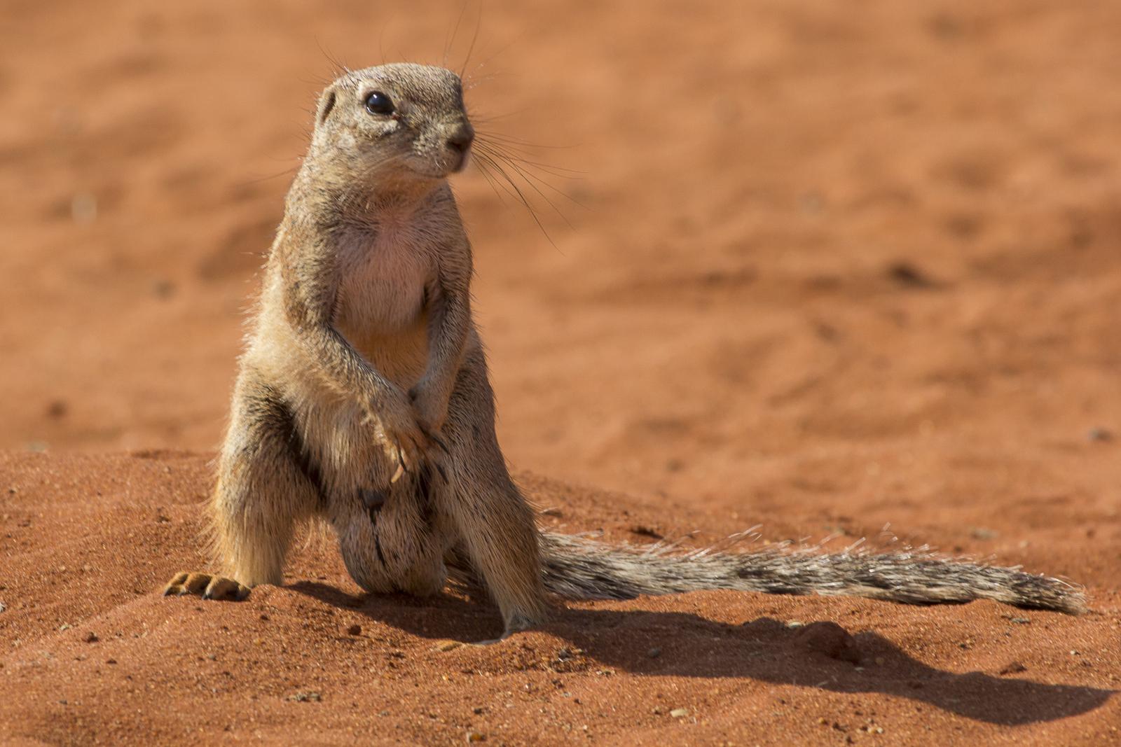 Love the pose!
