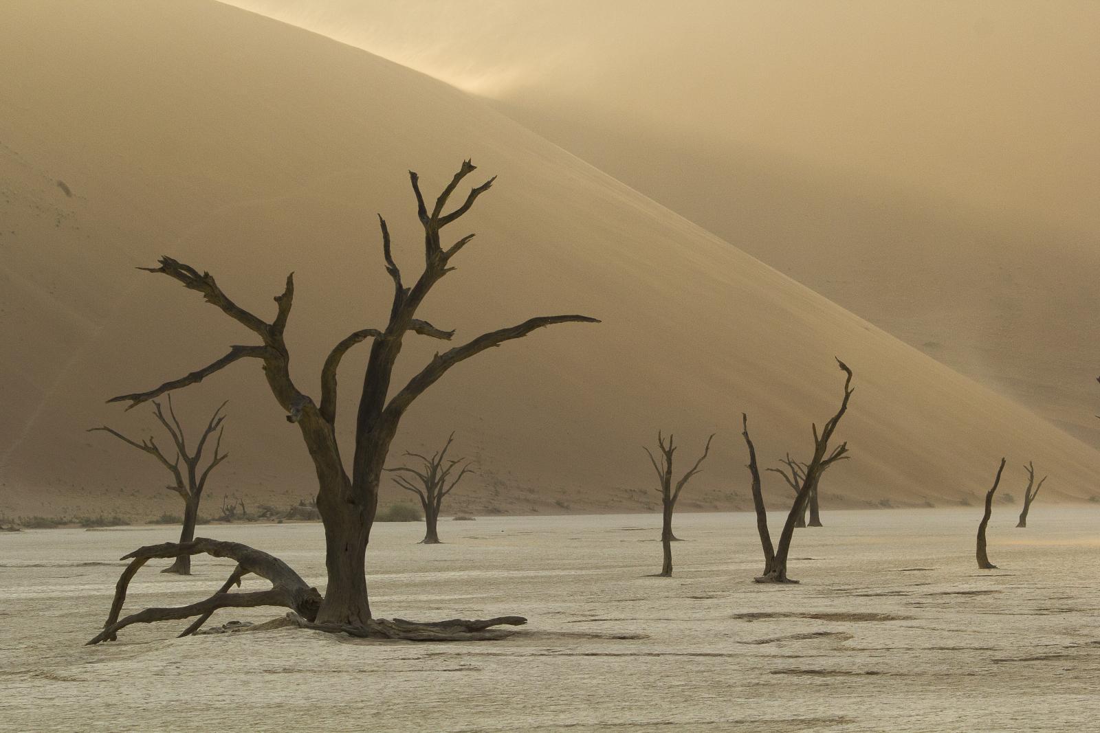 Dead Vlei