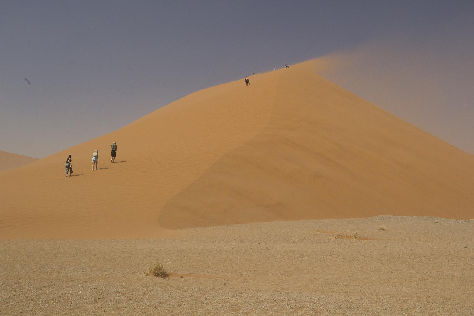 Big Daddy Dune!