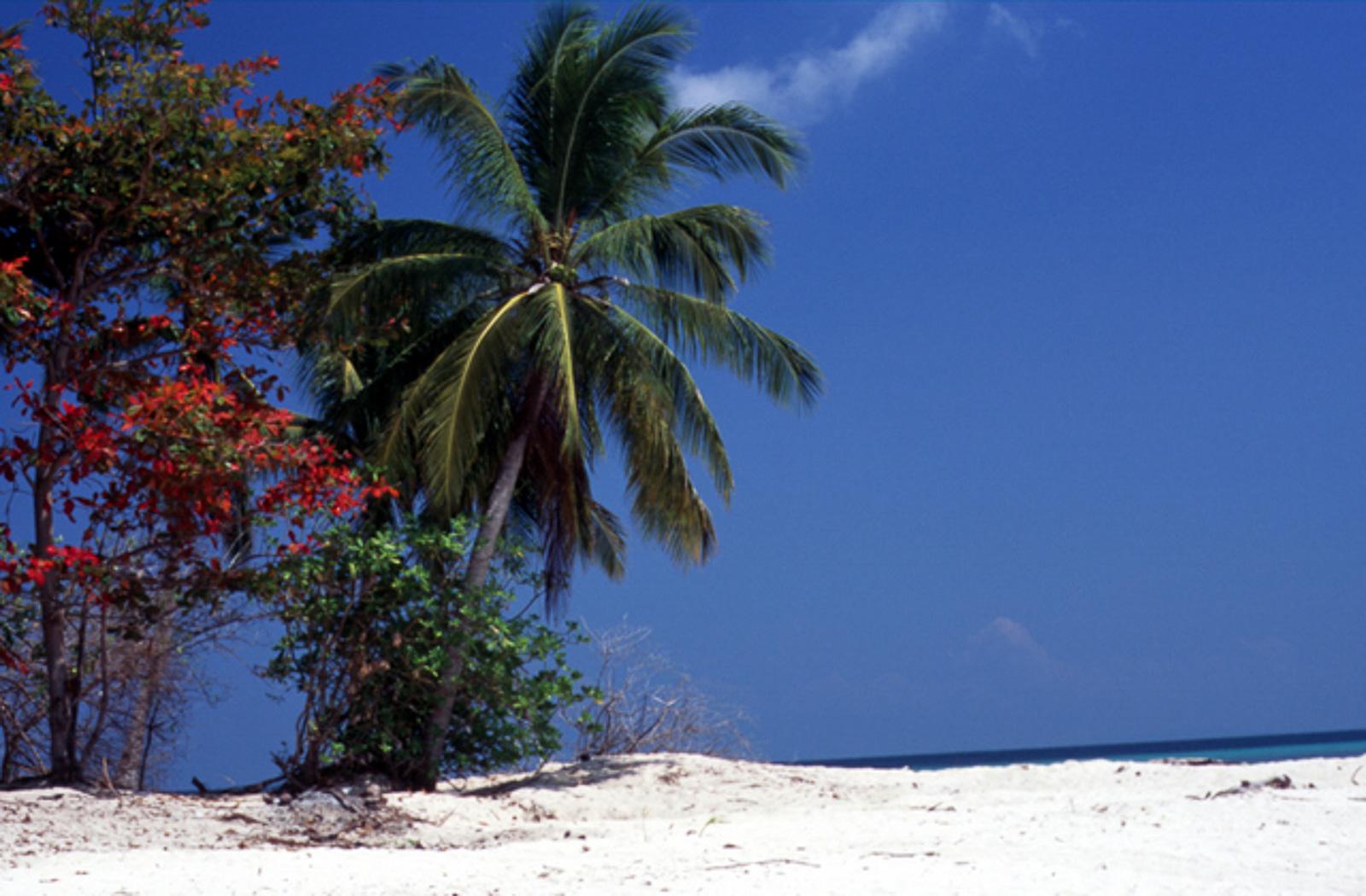 Tropical island